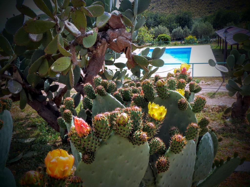 Willa Agriturismo Timpa Del Sole Noto Zewnętrze zdjęcie