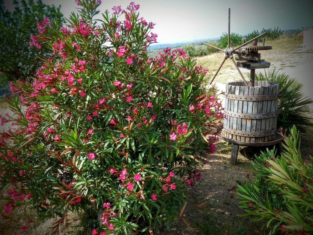 Willa Agriturismo Timpa Del Sole Noto Zewnętrze zdjęcie